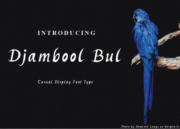 Djambool Bul: A Display Font for Modern Digital Design