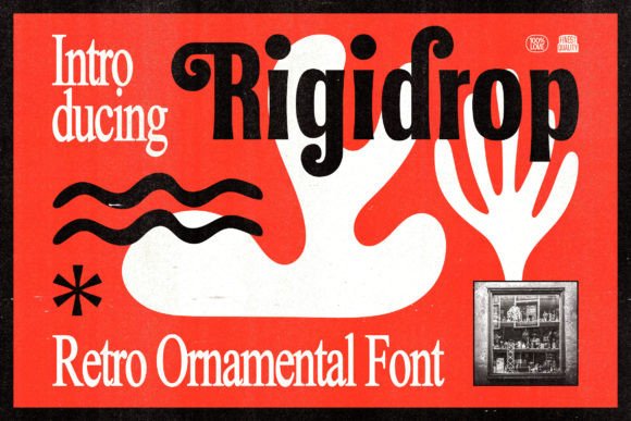 Rigidrop: A Vintage Vibe for Modern Branding
